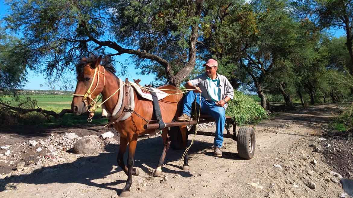 Gobierno municipal de Irapuato promueve empleo en zona rural