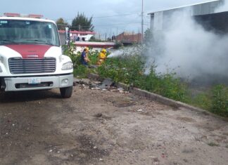 Por quemas en baldíos y pastizales, aplican en Irapuato 18 multas; monto es de más de 1 mdp