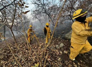 En Irapuato se han registrado 10 incendios en zonas forestales durante 2025
