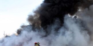 Van 17 procedimientos por quemas o incendios forestales en 2026: Medio Ambiente Irapuato