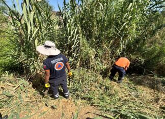 Aceleran trabajos de limpieza en Ríos y Bordos