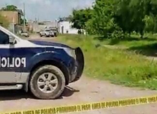 En mayo 2025, homicidios dolosos se redujeron 12%: «Irapuato Cómo Vamos?»