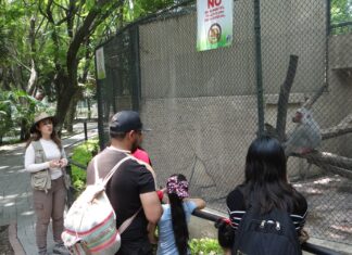 ¡No te pierdas la gran experiencia de los recorridos VIP en el ZooIra!