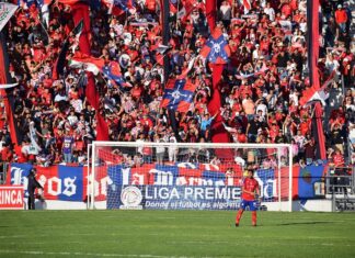 Oficial: la trinca fresera llega a la liga de expansión