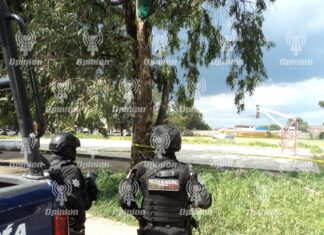 En 2025 hubo un homicidio doloso cada 20 horas con 45 minutos: Observatorio Ciudadano