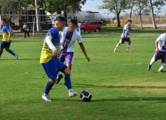 Durante 2025, aplica Fiscalización hasta 5 multas por venta de alcohol en campos de fútbol amateur