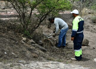 200 personas resuelven faltas cívicas con trabajos en favor de la comunidad