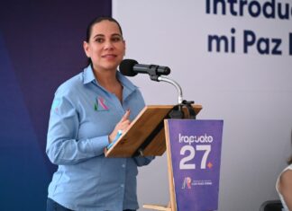 Nueva ley de Amparo, retroceso histórico; hay riesgo de gobierno dictatorial: Lorena Alfaro