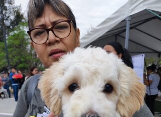 Refuerzan vacunación de mascotas contra la rabia