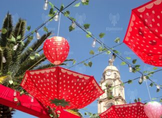Listo el Festival de la Fresa 2025; inicia el 7 de noviembre