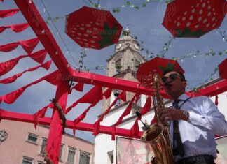 Aún puedes disfrutar del Festival de la Fresa éste domingo 9 de noviembre