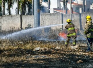 Preocupante: en sólo 2 meses, se han registrado 113 incendios en baldíos y pastizales