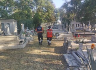 Reportan saldo blanco en festividades de Día de Muertos en Irapuato