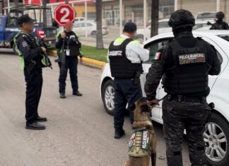 Capturan a 65 delincuentes en retenes instalados en Irapuato