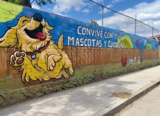 Ya son 12 colonias y comunidades responsables del cuidado de mascotas