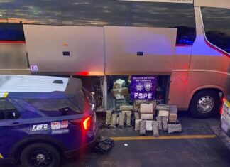 GTO: decomisan cargamento masivo de droga a bordo de autobús de pasajeros