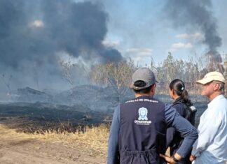 Detectan 3 puntos de alto riesgo de incendios forestales en Irapuato