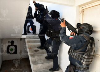 Hay al menos 17 detenidos relacionados con ola de violencia en Irapuato: Secretaria de Seguridad