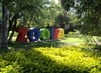 Los Reyes Magos estarán en el ZooIra el 5 de enero