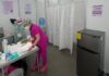 SSG fortalece la atención médica ante casos de picaduras de abeja