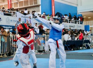 Irapuato es sede de Torneo estatal de Taekwondo; hay más de mil participantes