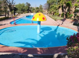 Extienden horarios en albercas de deportivas durante Semana Santa; aumento de afluencia sería de 30%
