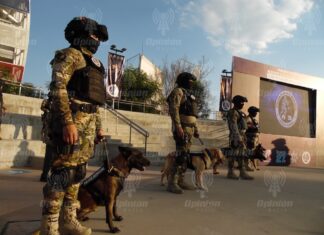 Llegan nuevos ejemplares caninos a la Unidad K9 de la policía de Irapuato