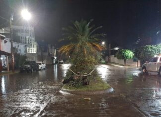 Preve JAPAMI temporada de lluvias 2026 buena, similar a la del año pasado