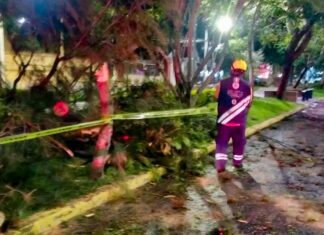 Tormenta del domingo de Resurrección no dejó daños en cultivos: Desarrollo Rural Irapuato