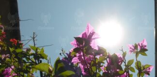 Alerta PC Irapuato: vienen temperaturas de 36 grados o más