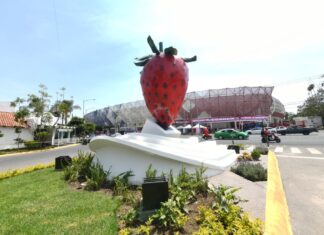 Develan fresa Monumental frente al estadio «Sergio León Chávez»