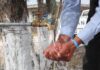 Descarta JAPAMI tandeos de agua en colonias; hay abasto suficiente