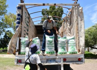 Pese a aumento global de fertilizante, mantendrán en Irapuato programa de apoyo a campesinos