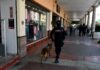 Reforzarán vigilancia por celebración del Día de las Madres