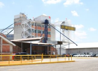 Buenas noticias para Irapuato: llega fábrica de galletas que generará 300 empleos directos