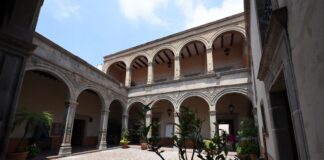 Nombran a nuevo director del Museo «Salvador Almaraz»