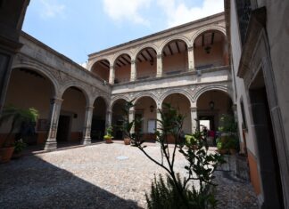 Nombran a nuevo director del Museo «Salvador Almaraz»