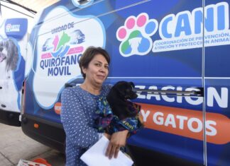 Gran respuesta en jornada de esterilización de mascotitas del CANI Irapuato