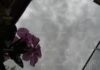 En alerta autoridades por pronósticos de lluvias fuertes