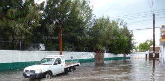 Fuerte lluvia y ventarrones derriban árboles, causan encharcamientos y apagones en Irapuato