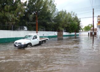 Fuerte lluvia y ventarrones derriban árboles, causan encharcamientos y apagones en Irapuato