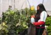 Avanza creación del Programa Municipal de Acción Climática