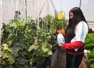 Avanza creación del Programa Municipal de Acción Climática