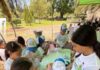 ¡Aprovecha! últimos lugares para curso de verano ecológico 2026