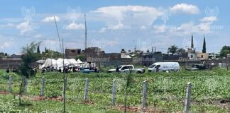 Durante julio 2026 se registraron 16 homicidios: Observatorio «Irapuato ¿cómo vamos?»