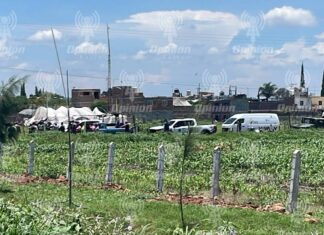 Durante julio 2026 se registraron 16 homicidios: Observatorio «Irapuato ¿cómo vamos?»