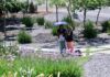Plan Maestro de Sistema de Parques acercará espacios naturales a familias de Irapuato