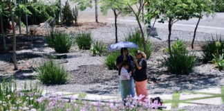 Plan Maestro de Sistema de Parques acercará espacios naturales a familias de Irapuato