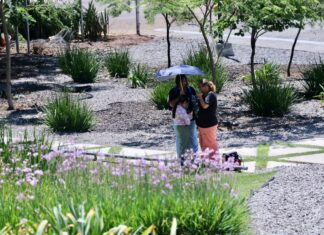 Plan Maestro de Sistema de Parques acercará espacios naturales a familias de Irapuato