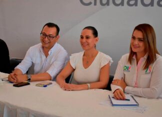 Funcionarios que aspiran a candidaturas 2027 aún no requieren solicitar licencia: Lorena Alfaro